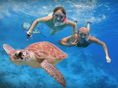 Snorkeling à Kestel