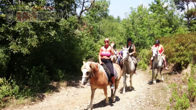 alanya at binme turu asil atlarla tabiati taniyin