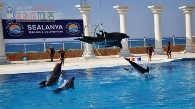 Dolphin Park in Alanya