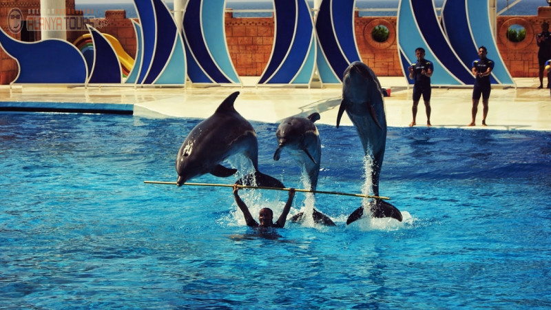 Delfinarium Alanya Photo 1
