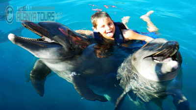 Swim with dolphins in Alanya